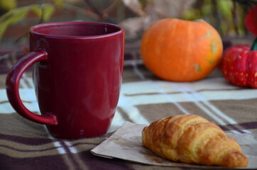 Red Cup of tea or coffee and warm plaid blanket on wooden rustic bench, picnic in the autumn forest. Fall weekend. Photo toned, selective focus. сroissant pumpkin