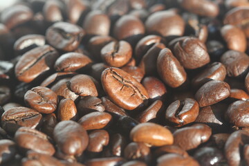 Granos de café - Coffea