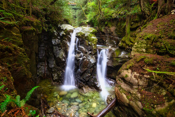 Beautiful view of water cascading in a canyon surrounded by green nature. Cypress Water Fall, West Vancouver, British Columbia, Canada.