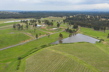 Fototapeta na wymiar Aerial view of a vineyard in regional New South Wales in Australia
