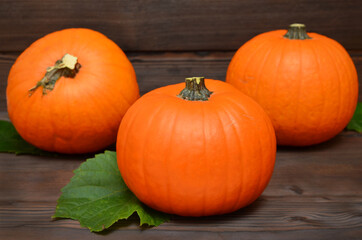 pumpkins on a dark wooden background close-up