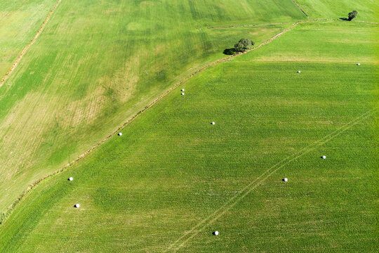 Juicy green meadow pictured from the air from a drone. The grass in the bales, not yet collected, lies in the meadow
