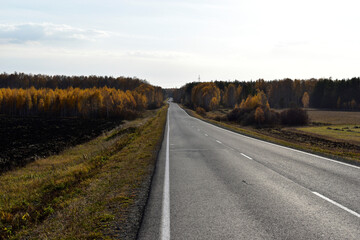 High-speed asphalt highway in the countryside in the forest