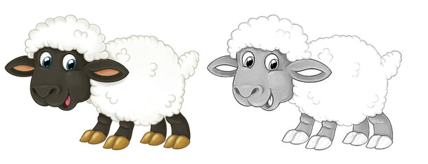 Cartoon sketch scene sheep is standing looking and smiling - illustration