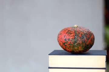 Stack of books and red kuri squash in front of a concrete wall. Selective focus.