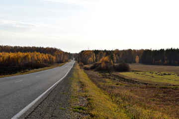 High-speed asphalt highway in the countryside in the forest