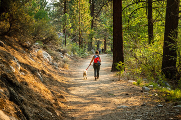 Woman hikes with her dog on beautiful forest trail