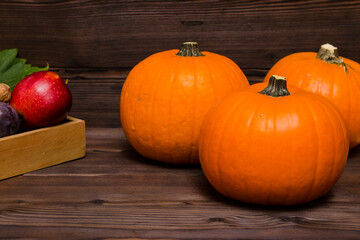 autumn fruits pumpkins and apples and plums on wooden background