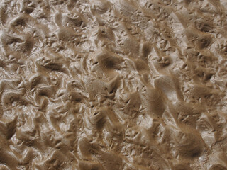 wet rippled sand on a beach at low tide with the imprints of bird tracks forming a pattern on the surface