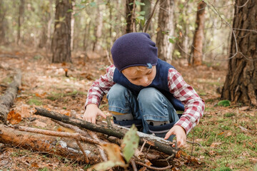 A child collects firewood in the forest. Little lumberjack. The boy is looking for old tree branches. Child and firewood. Autumn time. Branches for the fire.