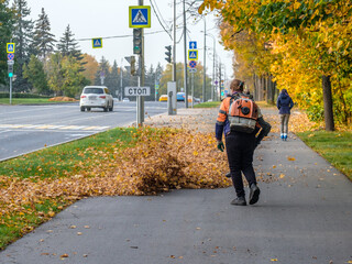 A female utility worker uses a blower to remove fallen leaves in an alley in a park. Yellow leaves are flying in the air. Seasonal work concept.