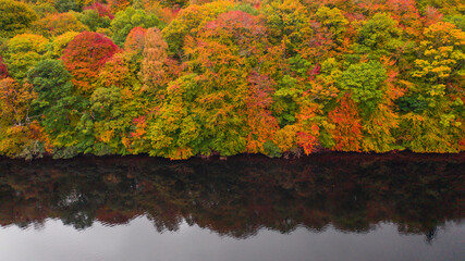 autumn colors on the lake