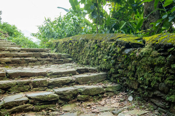 Mountain trekking trail with natural stone steps, passing through trees and walls overgrown with dense green moss