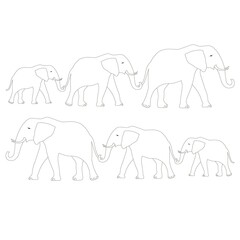 Outline elephant  family coloring page. Animal object isolated for print, for web