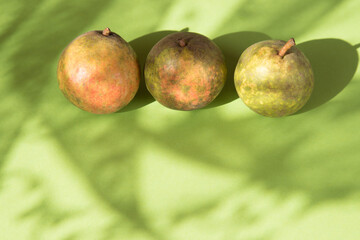 Pears on a Sunny green background with Sunny highlights and shadows . A place for a space mine. Horizontal orientation