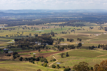 Vineyards in the Hunter Valley in regional Australia