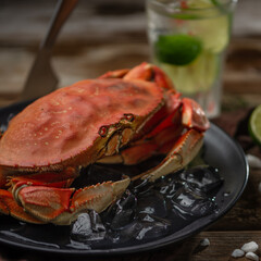 Close-up view of tasty cooked crab on black round plate with ice cubes served with lime and...