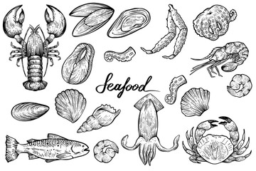 Seafood set, hand drawn vector