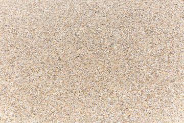 detail of a beige grainy cement wall background