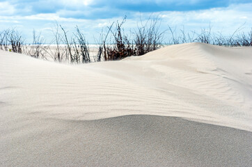 Sharp foreground and blurred background of sand dunes, North Sea coast, Oostende (Ostend), Belgium.