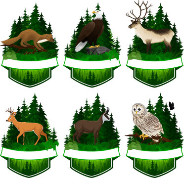 set of vector woodland emblems with white tiled deer, barred owl, chamois	, bald eagle, pine marten and reindeer