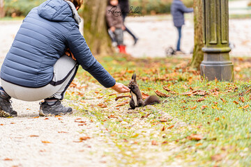 person with a squirrel  in the forest