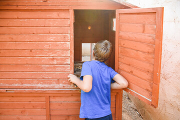 A boy, with his back turned, looks into a dirty chicken coop. © Road Red Runner