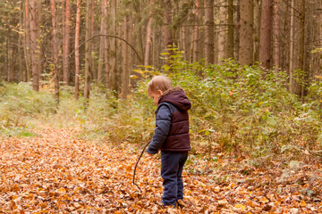 Children walk in the autumn forest.