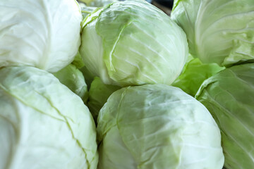 Fototapeta premium Pile of ripe white cabbages as background, closeup
