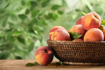 Fresh sweet peaches in wicker basket on wooden table outdoors