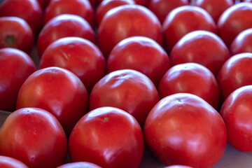Rows of Red Tomato's in the Farmers Market