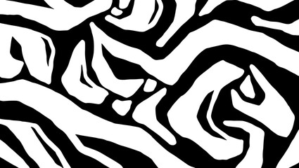 black and white zebra pattern