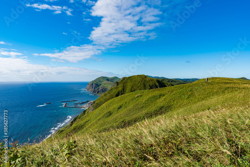 礼文島 桃岩展望台コース トレッキング Wall Mural Yusei