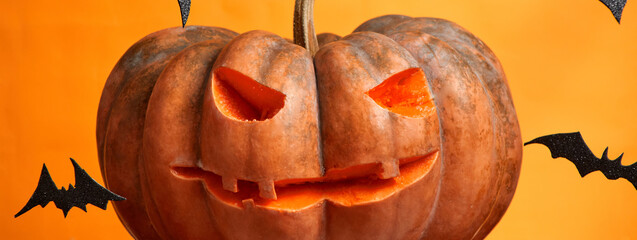 halloween pumpkins and bats on orange background copy space