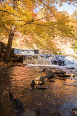 Fototapeta premium Peak fall foliage surrounds beautiful cascading downstream middle Shohola Falls on an Autumn morning in the Pennsylvania Poconos