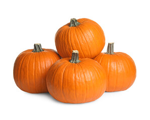 Beautiful ripe orange pumpkins on white background