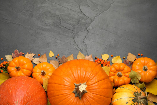 Flat lay composition with pumpkins and autumn leaves on black slate table. Space for text
