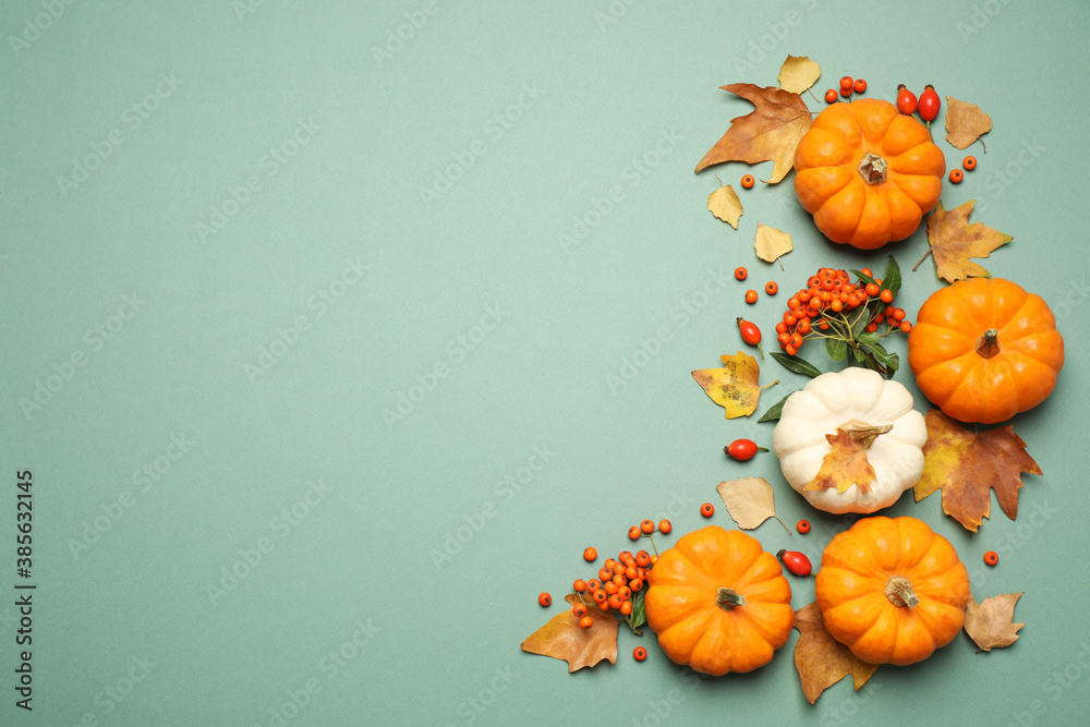 Wall mural Different ripe pumpkins, autumn leaves and berries on green background, flat lay. Space for text