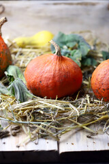 Autumn still life with pumpkins and hay. Halloween mood.