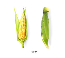 Creative layout made of corn on the white background. Flat lay. Food concept. Macro  concept.