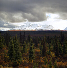 Norway, Finland, Denmark, Sweden Peaks

