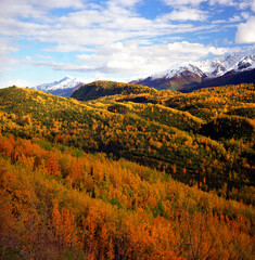 Obraz premium Brilliant Color on the Mountain Sides 