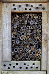 Bee and Insect Nesting Box in rectangular shape