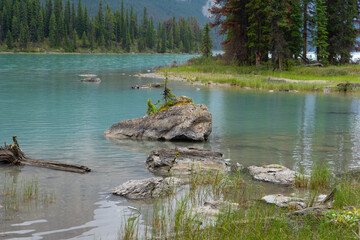 Spirit Island tree rock