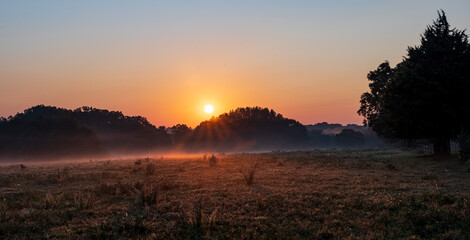 Sunrise peaking through the trees.