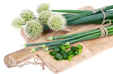 Fresh cut green onion arrows isolated on white