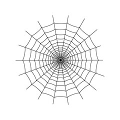 Obraz premium Spider web concept