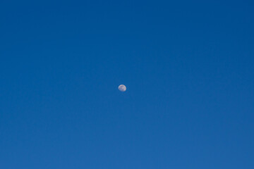 Moon in the sky during the day time