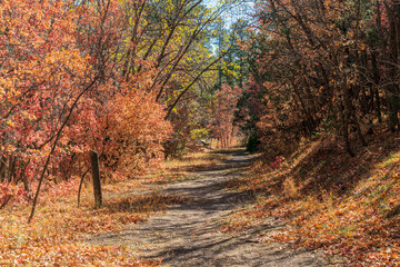 4th of July Campground Trail in Fall 