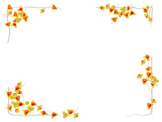 赤い実のフレーム